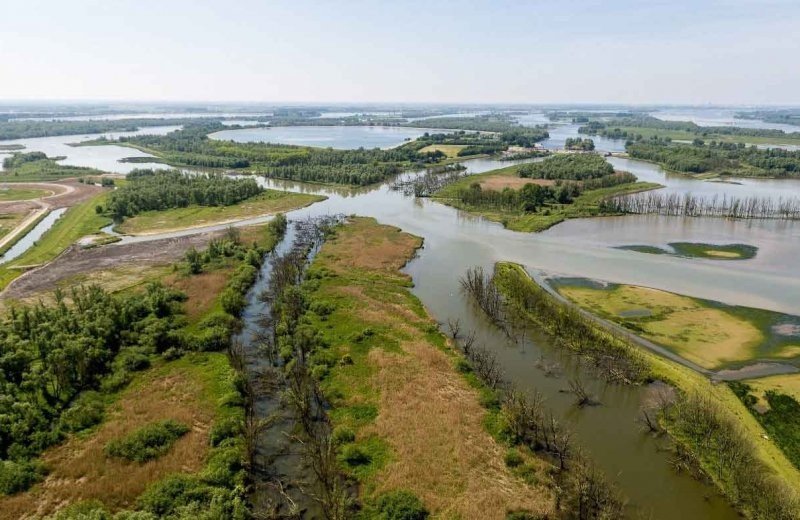 Biesbosch van bovenaf