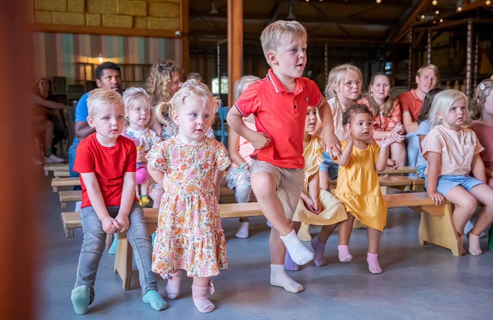 Boerendisco webformaat