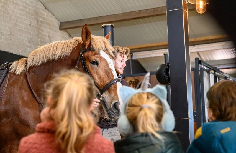Rondleiding en demonstratie