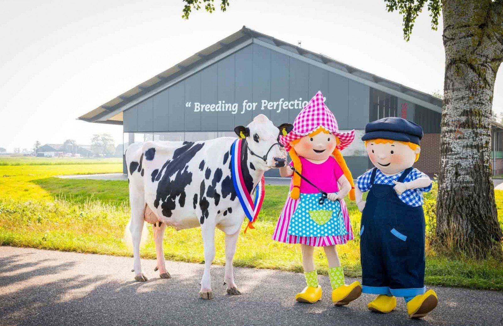 Melkveehouderij Bons