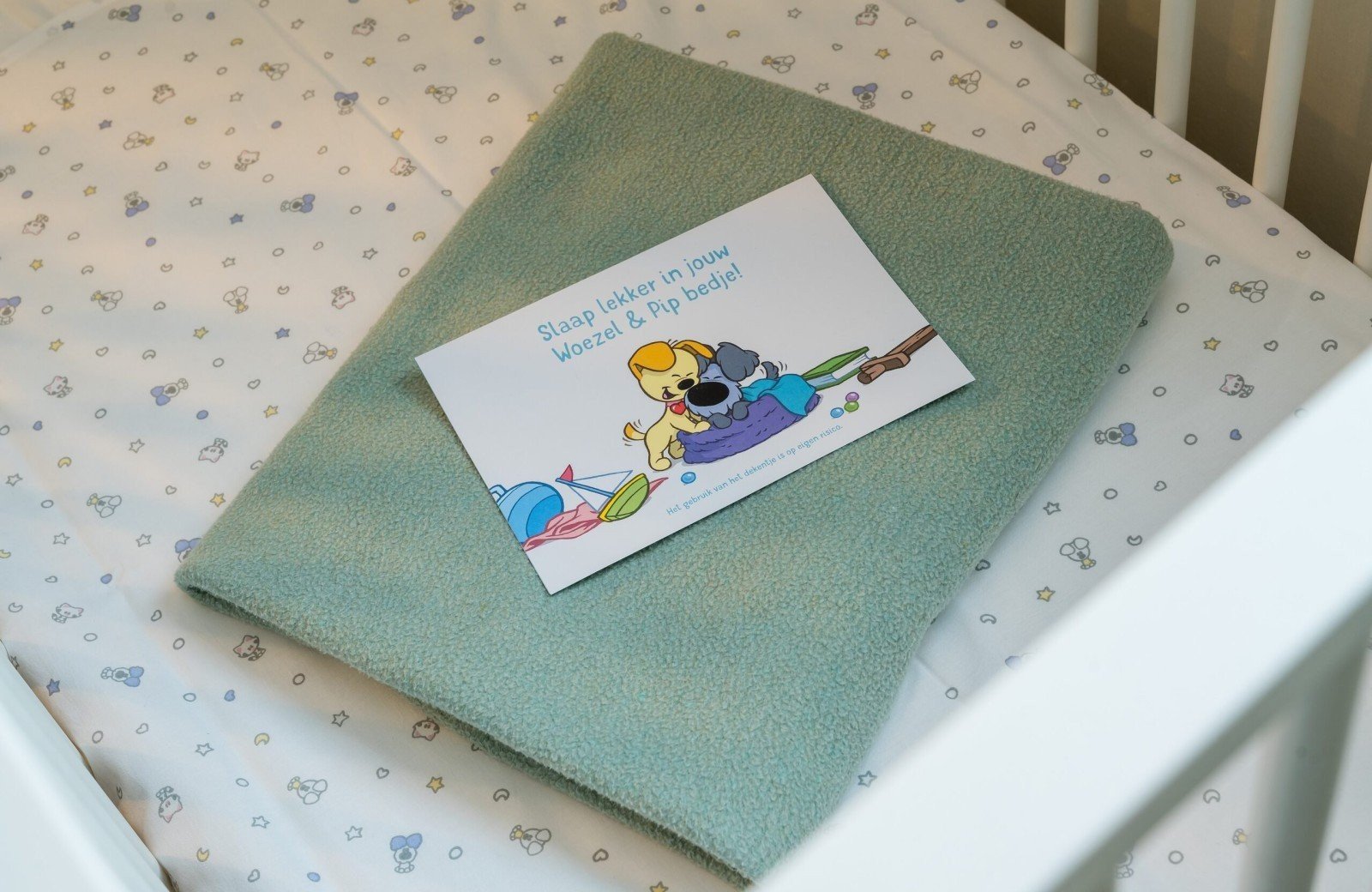 Huisje slaapkamer Woezel en Pip thema bij Familie Resort Molenwaard