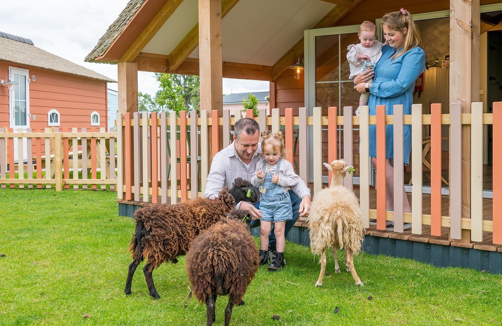 Mike en molly schaapjes ontmoeten sfeer Familie Resort Molenwaard
