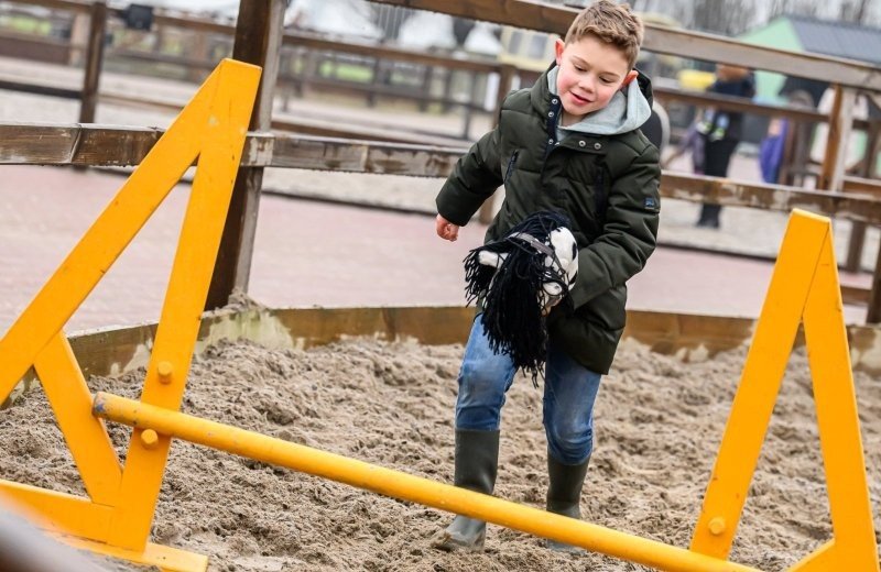 Stip de pony ranch stokpaarden race