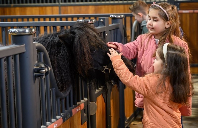 Stip de pony ranch bij Familie Resort Molenwaard