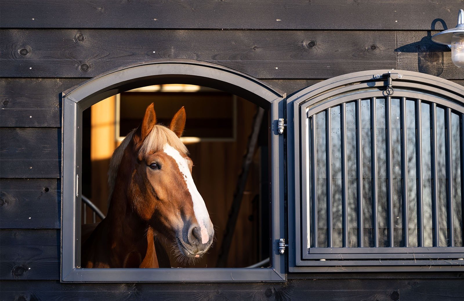 Stoeterijmolenwaard stal webformaat