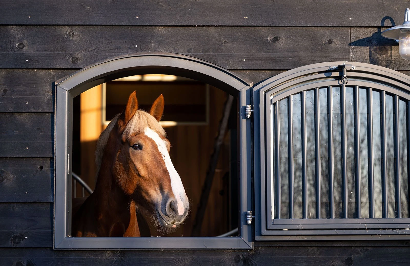 Stoeterijmolenwaard stal webformaat