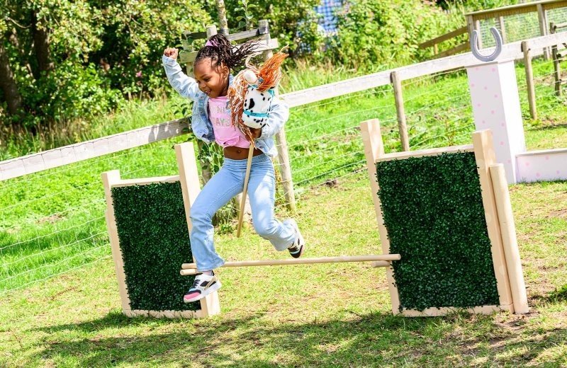 Stokpaardenrace in Molenwaard