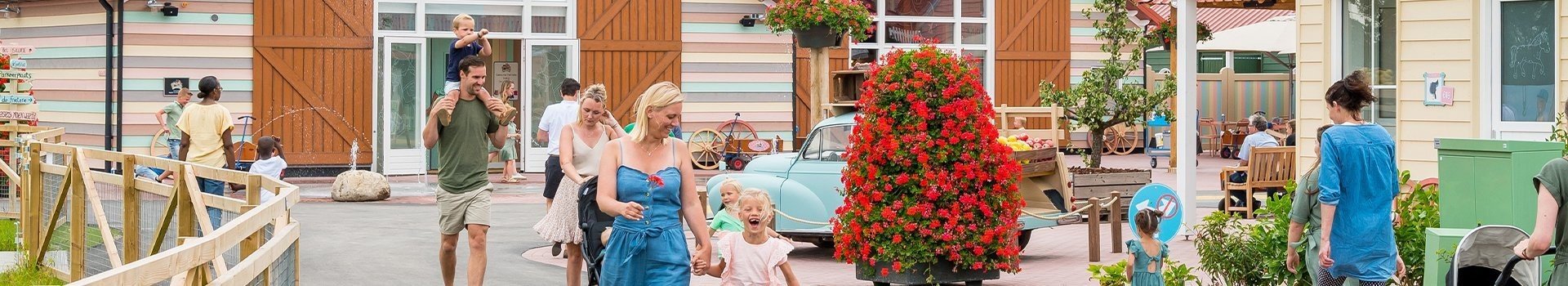 Vakantie park molenwaard