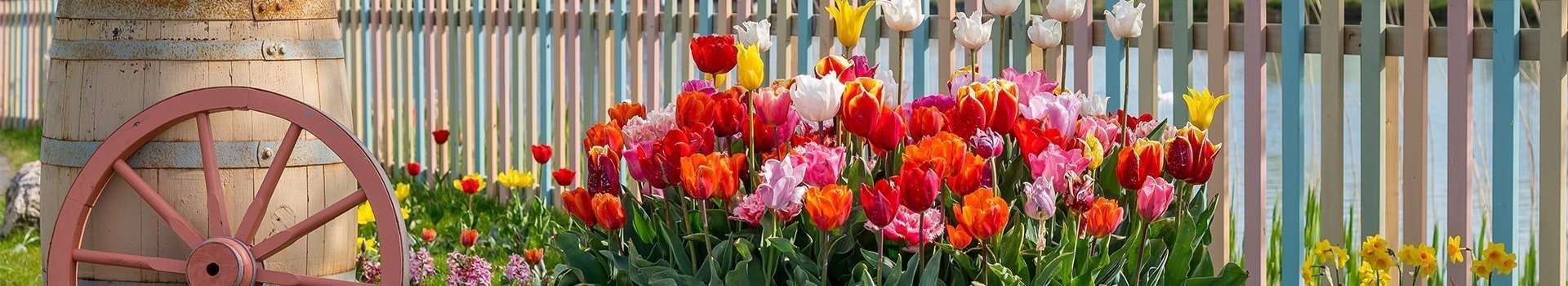 Tulpen familie resort molenwaard